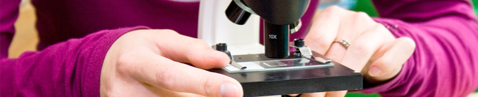 HIV Test
