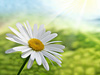 &copy; free_photo - Fotolia.com