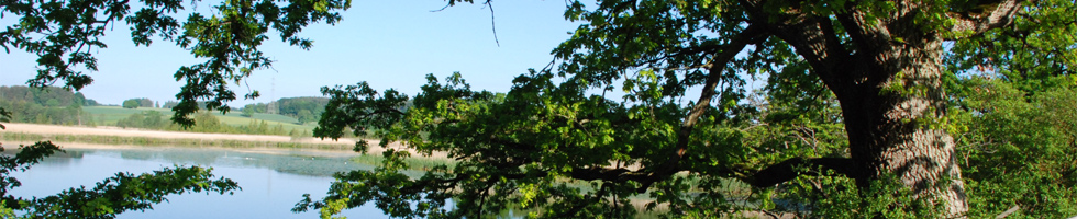 Landschaft