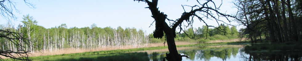Naturschutz