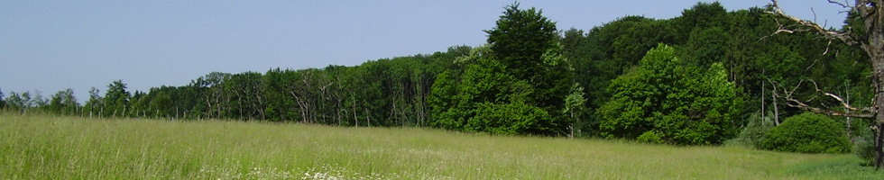 Naturschutz
