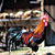 Tiere