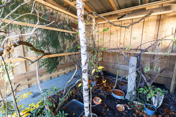 Ein Herz für Wildvögel 