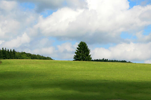 Landschaft