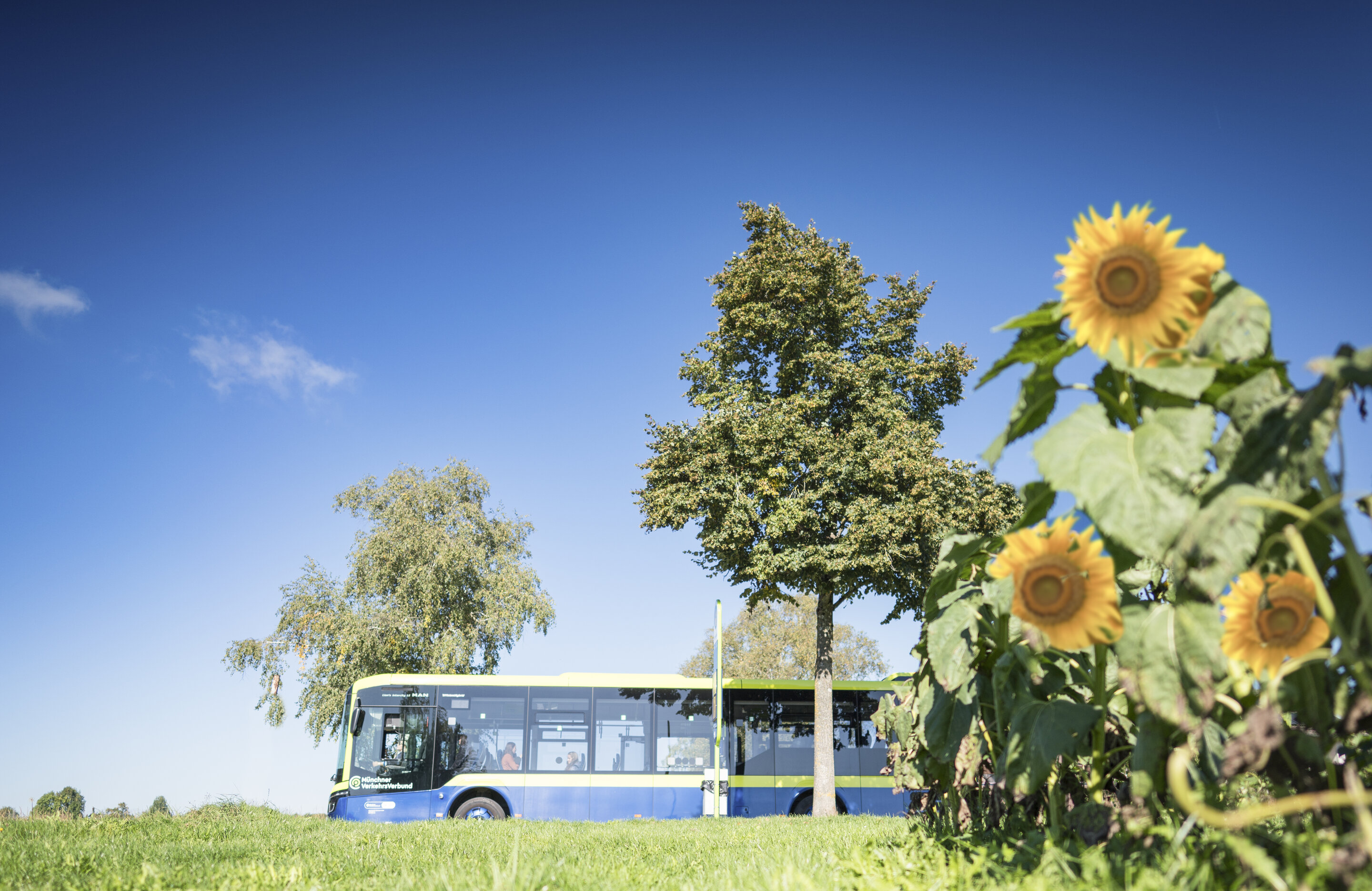 MVV Bus