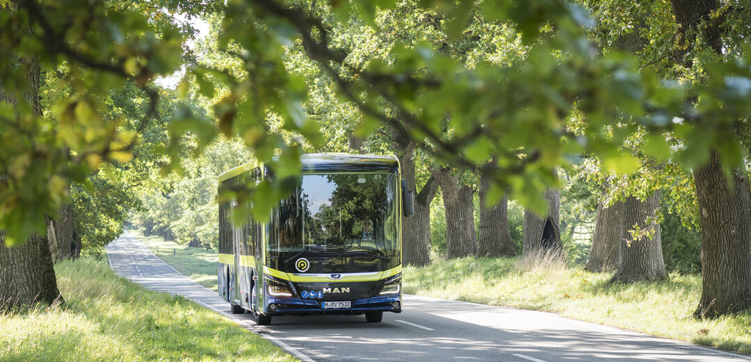 MVV Bus