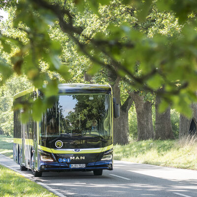 MVV Bus